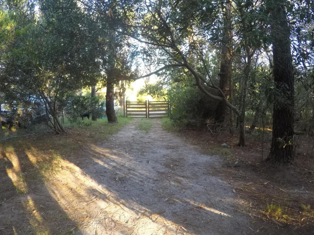 Vila No Estamos Locos Piriápolis Exteriér fotografie