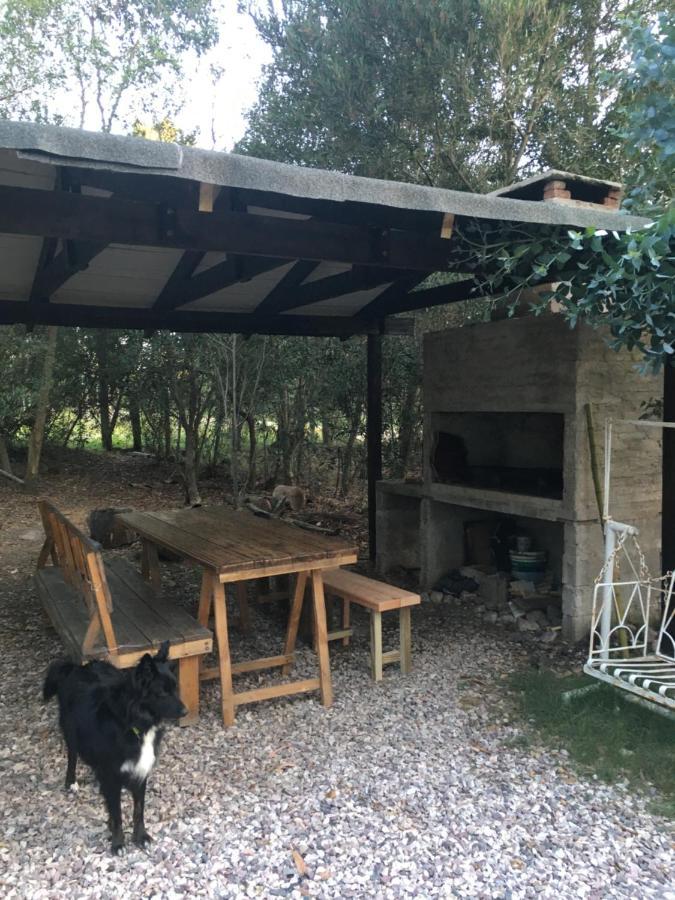 Vila No Estamos Locos Piriápolis Exteriér fotografie